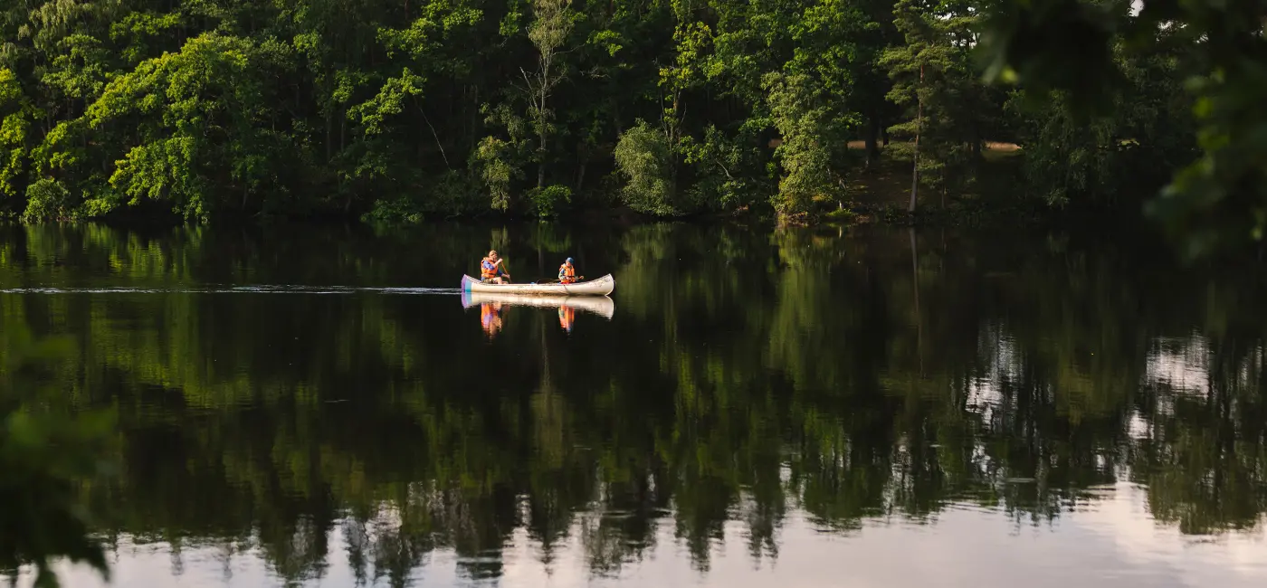 Två personer paddlar kanot på en stilla sjö. I bakgrunden finns skog. 